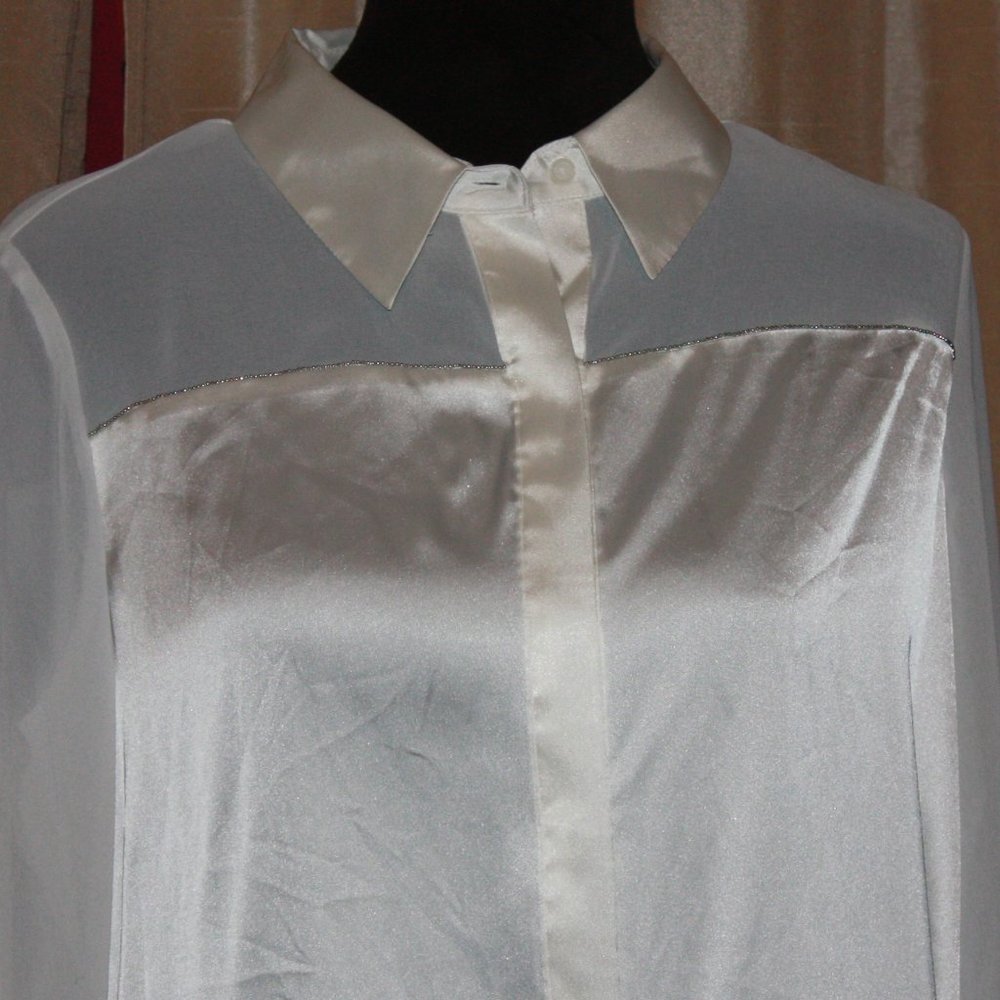 sheer and detailed blouse